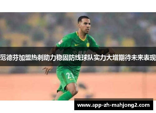 范德芬加盟热刺助力稳固防线球队实力大增期待未来表现