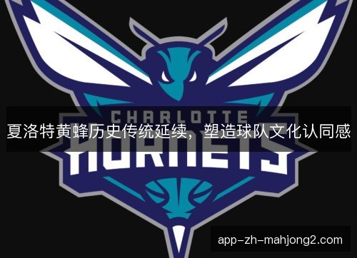夏洛特黄蜂历史传统延续，塑造球队文化认同感